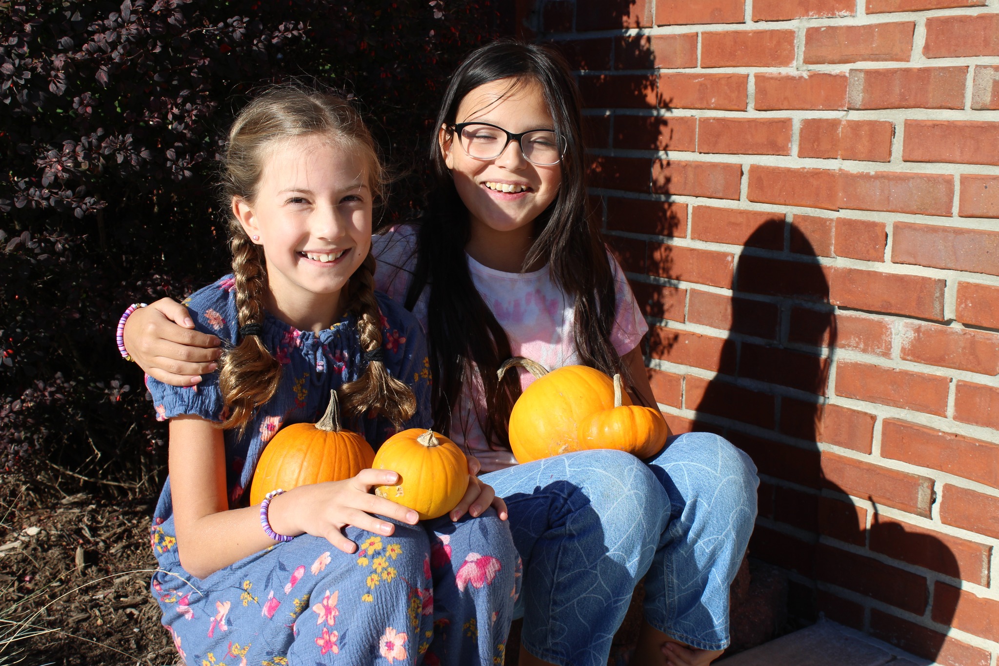 Fall Festival 5